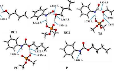 Urethane Synthesis in the Presence of Organic Acid Catalysts—A Computational Study