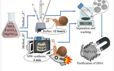 Simplified Synthesis of the Amine-Functionalized Magnesium Ferrite Magnetic Nanoparticles and Their Application in DNA Purification Method