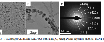 Nickel ferrite decorated noble metal containing nitrogen‑doped carbon nanotubes as potential magnetic separable catalyst for dinitrotoluene hydrogenation