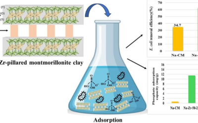 Application of modified clays in the removal of phosphates and E. coli from aqueous solution