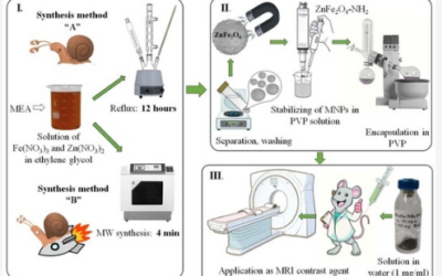 Development of Polymer-Encapsulated, Amine-Functionalized Zinc Ferrite Nanoparticles as MRI Contrast Agents